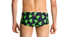 Load image into Gallery viewer, Boys Classic Trunks Prickly Pete
