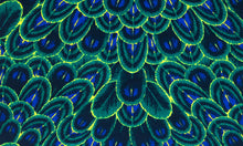 Load image into Gallery viewer, Womens Zip Front One Piece Emerald Peacock
