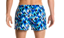 Load image into Gallery viewer, Mens Shorty Shorts Short Peak Performance
