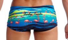 Load image into Gallery viewer, Mens Plain Front Trunks Prancercise
