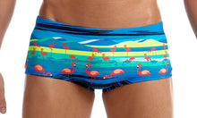 Load image into Gallery viewer, Mens Plain Front Trunks Prancercise
