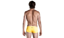 Load image into Gallery viewer, Mens Plain Front Trunks Still Daisy Solid
